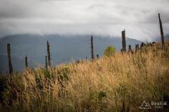 _DSC6662