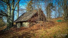 IMG_20171106_110947_HDR