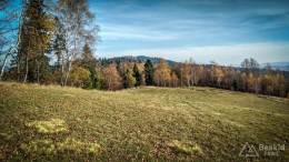IMG_20171106_113141_HDR