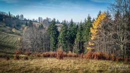 IMG_20171106_121804_HDR