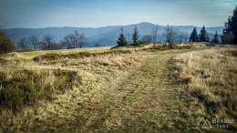 IMG_20171106_131700_HDR