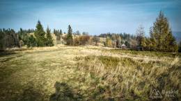 IMG_20171106_131730_HDR
