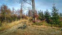 IMG_20171106_141156_HDR