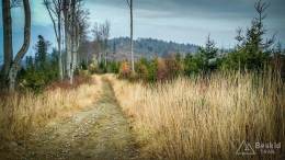 IMG_20171106_141807_HDR