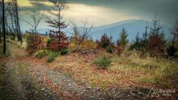 IMG_20171106_144327_HDR