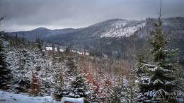 IMG_20180113_095341_HDR