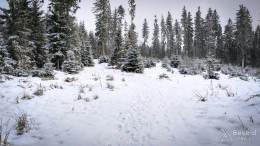 IMG_20180113_102021_HDR