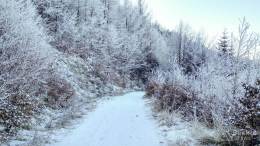 IMG_20180114_100537_HDR