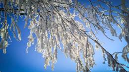 IMG_20180114_103239_HDR