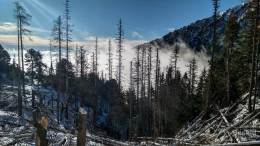 IMG_20180117_100234_HDR