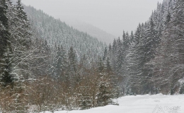 _DSC7001