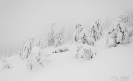 _DSC7023