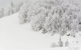 _DSC7037