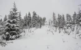 _DSC7080