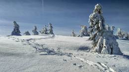 IMG_20180217_100827_HDR