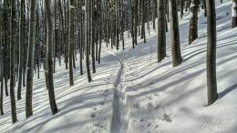 IMG_20180217_105630_HDR