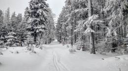 IMG_20180224_091547_HDR