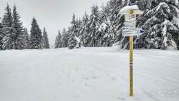 IMG_20180224_095431_HDR