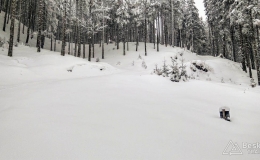 IMG_20180224_124119_HDR
