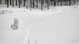 IMG_20180224_124121_HDR