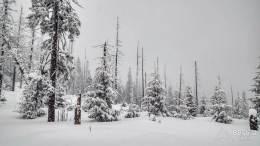 IMG_20180224_161324_HDR