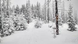 IMG_20180224_161351_HDR