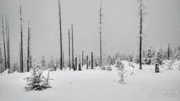 IMG_20180224_161433_HDR