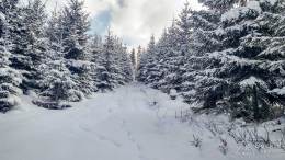 IMG_20180225_094313_HDR