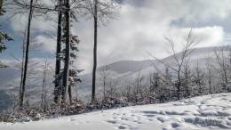 IMG_20180225_100015_HDR