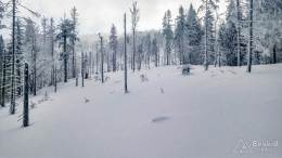 IMG_20180225_102902_HDR