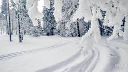 IMG_20180225_103021_HDR