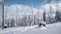 IMG_20180225_103047_HDR