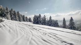 IMG_20180225_112230_HDR