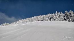 IMG_20180225_113447_HDR