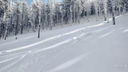 IMG_20180225_122624_HDR