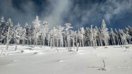 IMG_20180225_134553_HDR