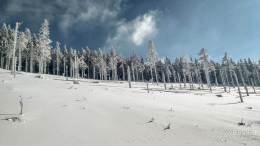 IMG_20180225_134556_HDR