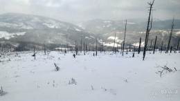 IMG_20180225_155341_HDR