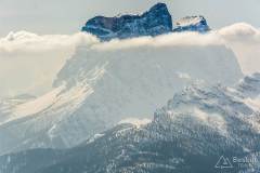 _DSC7672