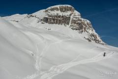 _DSC7688