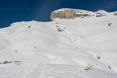 _DSC7694