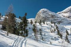 _DSC7718