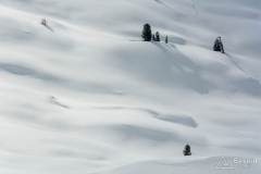 _DSC7725