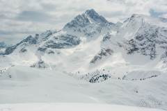 _DSC7736