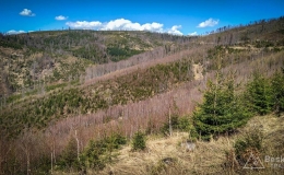 IMG_20180414_114809_HDR