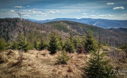 IMG_20180414_121828_HDR