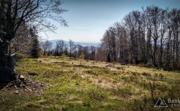 IMG_20180421_110206_HDR