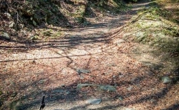 IMG_20180421_124849_HDR