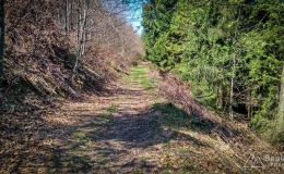 IMG_20180421_130022_HDR