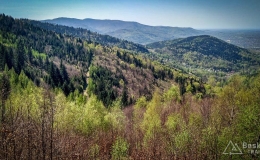 IMG_20180421_132820_HDR